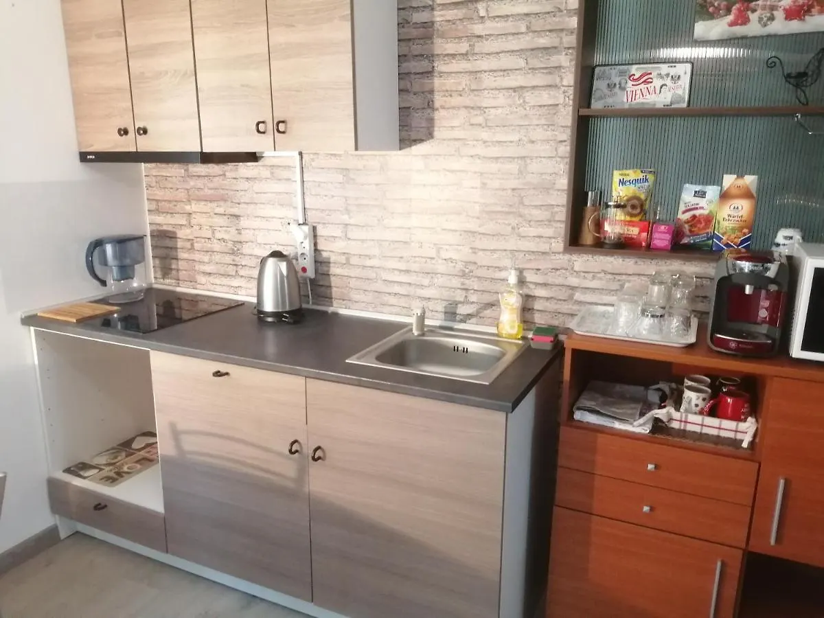 Villa 38 Silviu Apartment Bucharest 0*,