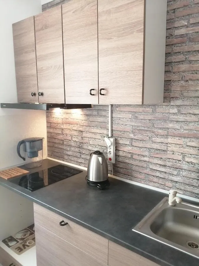 Villa 38 Silviu Apartment Bucharest