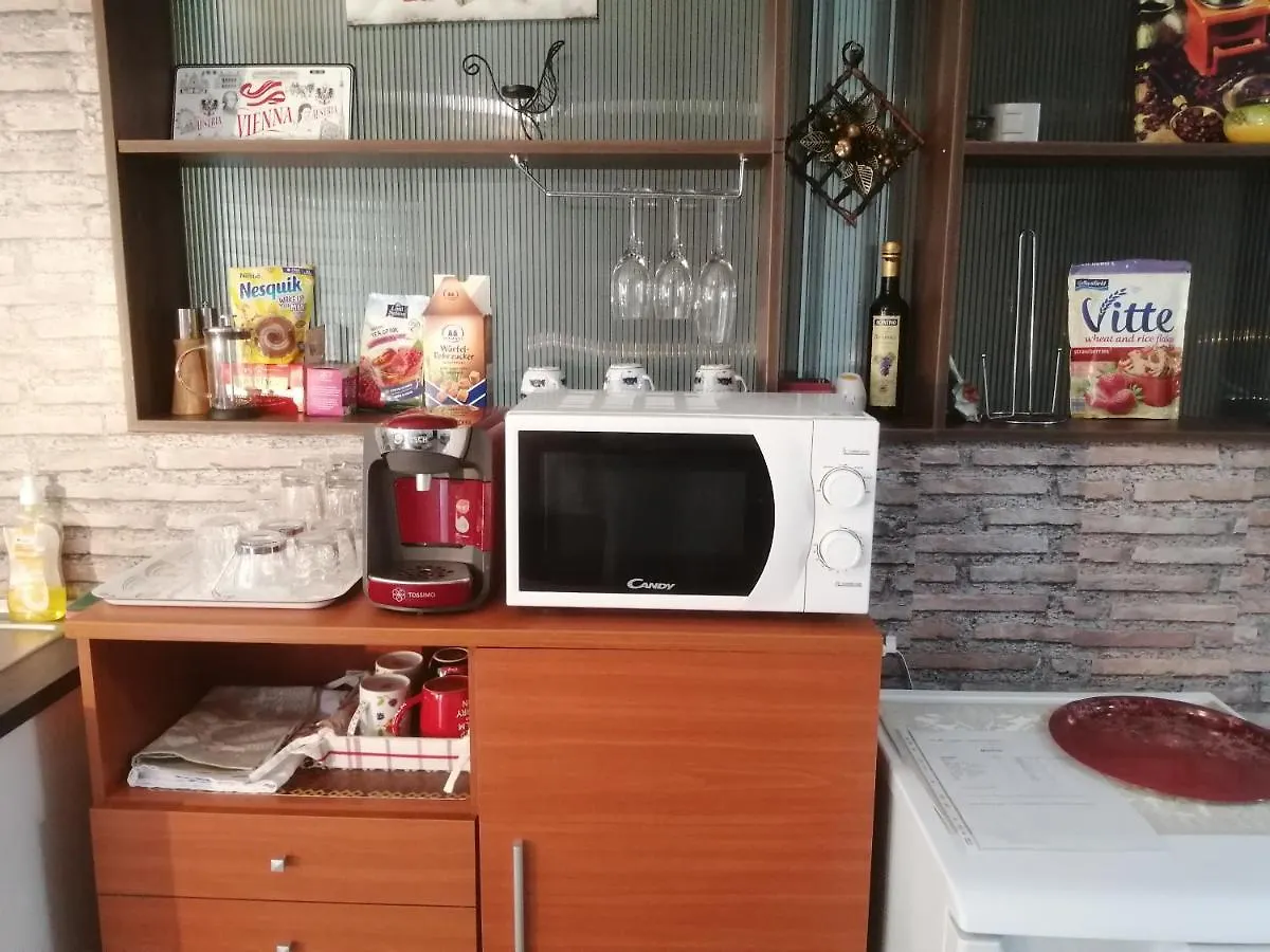 Villa 38 Silviu Apartment Bucharest