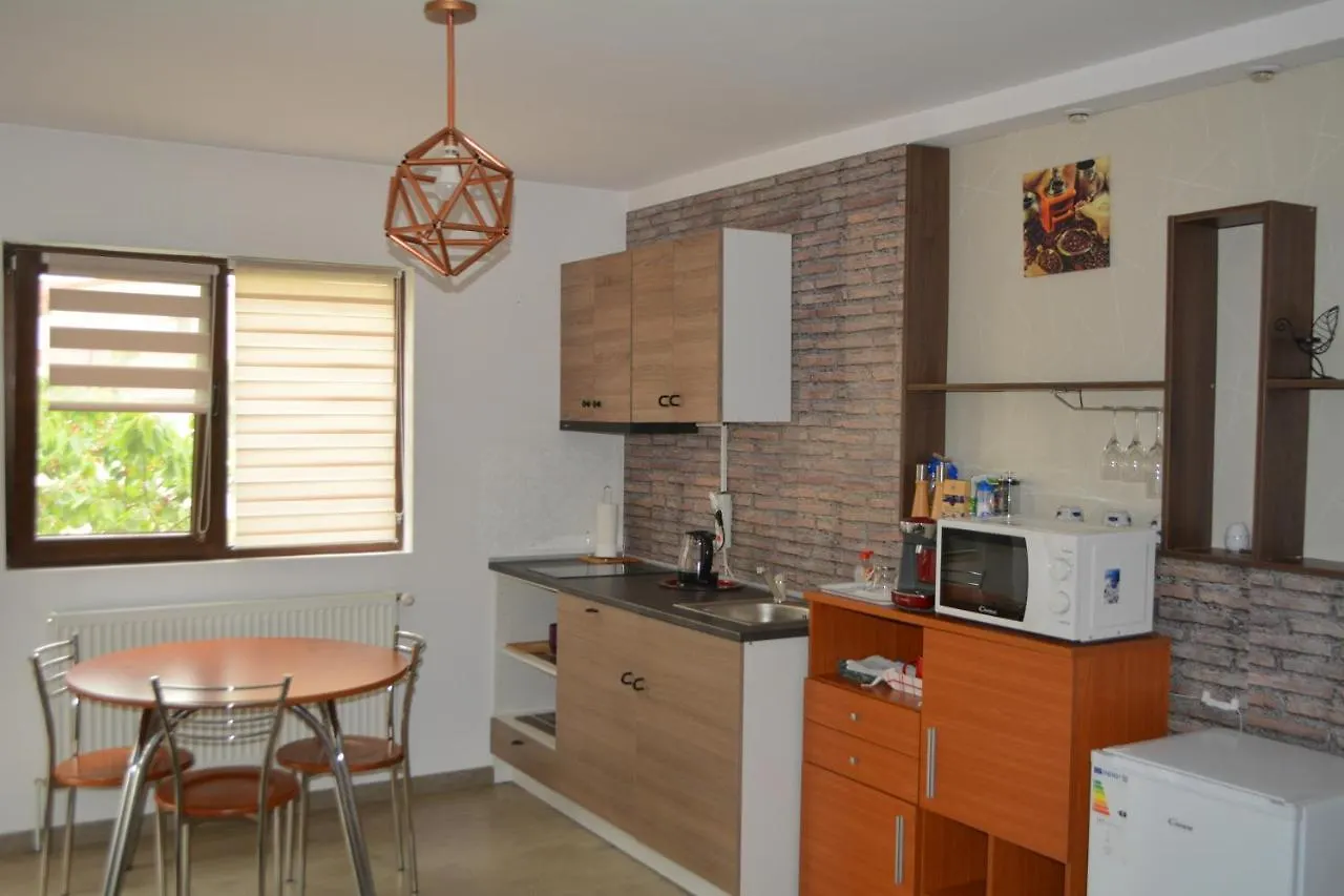Villa 38 Silviu Apartment Bucharest 0*,  Romania