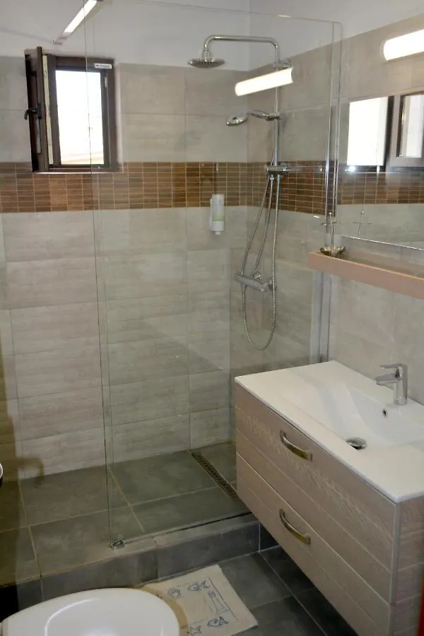 Villa 38 Silviu Apartment Bucharest