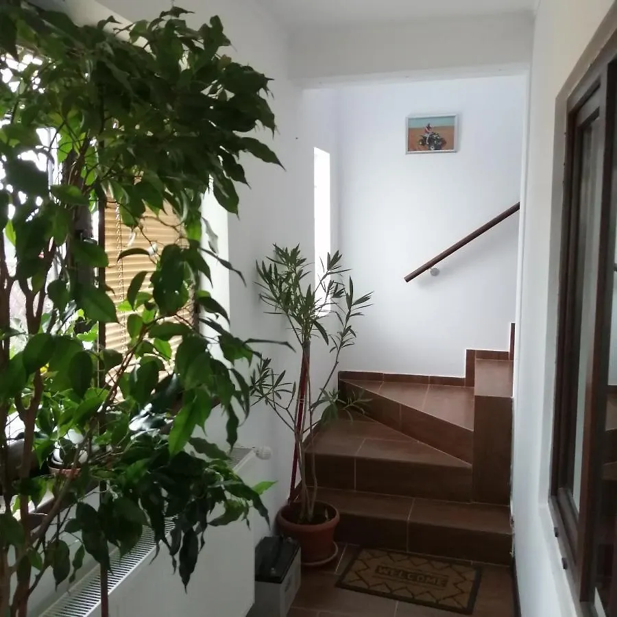 Villa 38 Silviu Apartment Bucharest